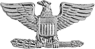 Colonel
